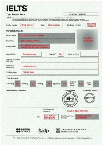 IELTS TRF